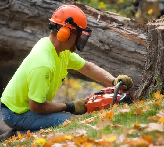 tree services New Knoxville